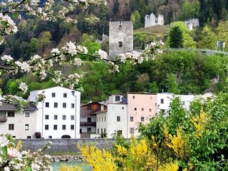 Appartement Kramsach Environnement 40