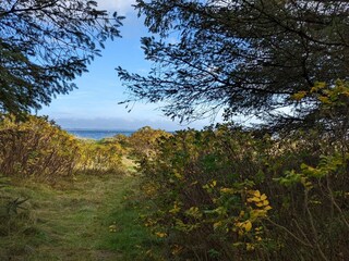 Holiday house Thyholm  28