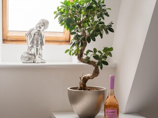 Holiday park Kolberg  26