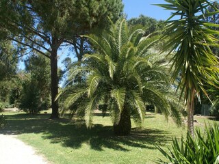 Casa de vacaciones Ramatuelle Grabación al aire libre 8