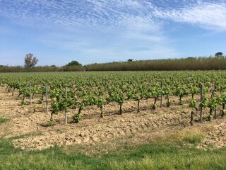 Casa per le vacanze Ramatuelle Ambiente 29