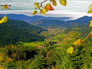 Herbststimmung im Seebachtal