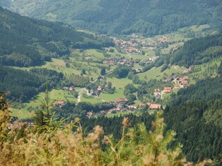 Blick vom Höhenweg auf das Seebachtal