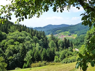 Blick vom Seegerhaus in das Seebachtal
