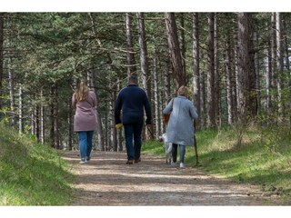 Casa de vacaciones Renesse  34