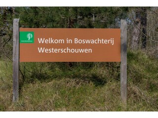 Casa de vacaciones Renesse  38