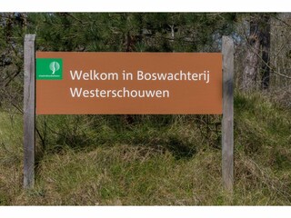 Casa de vacaciones Renesse  38