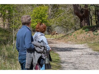 Casa per le vacanze Renesse  35