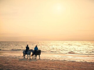 Casa per le vacanze Renesse Ambiente 24