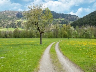 Apartment Itter Umgebung 31