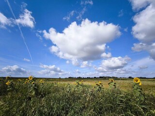 Ferienhaus Sydals  38