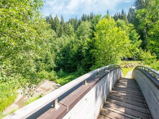 Apartment Itter Umgebung 16