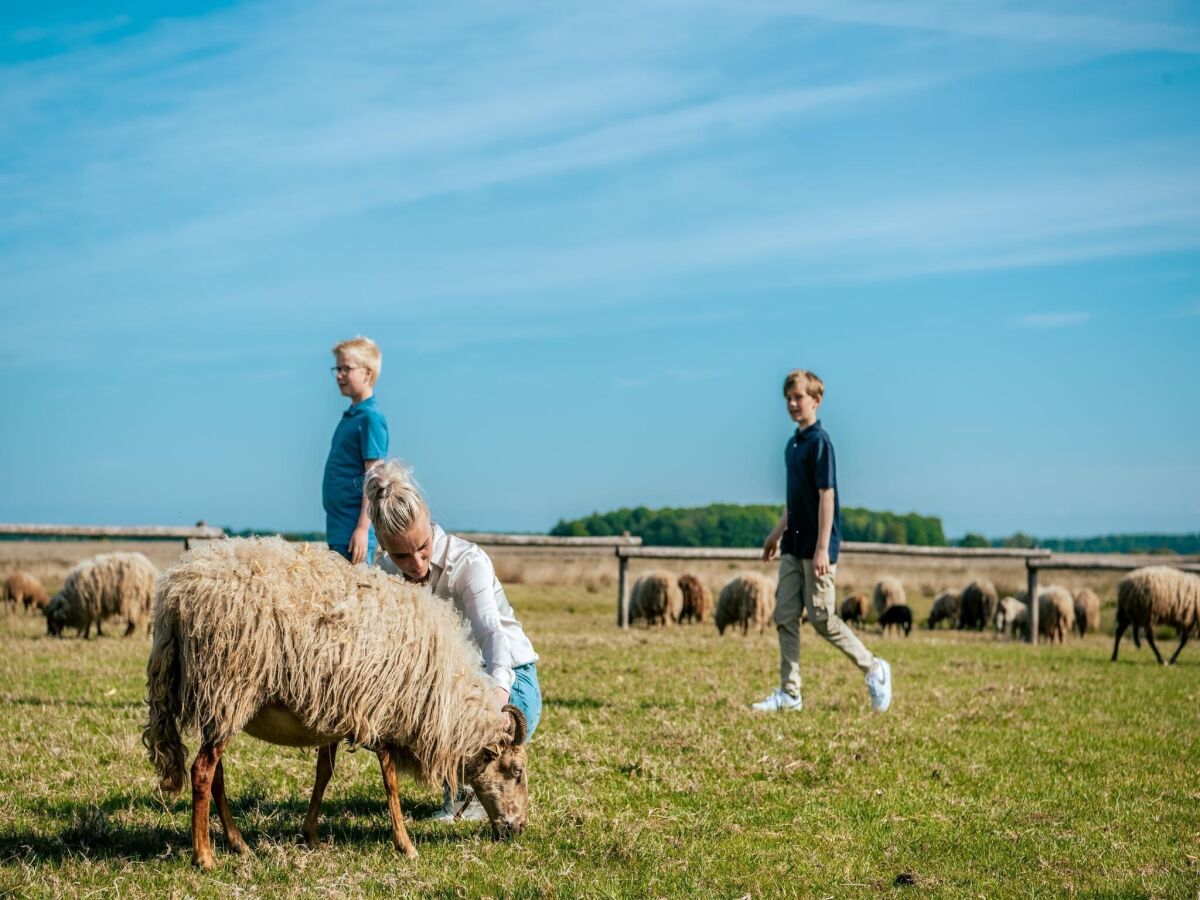 Vakantiepark Ruinen Omgeving 1