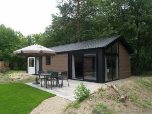 Ferienpark Modernes Chalet in der Nähe von drei Nationalparks - Ruinen - image1