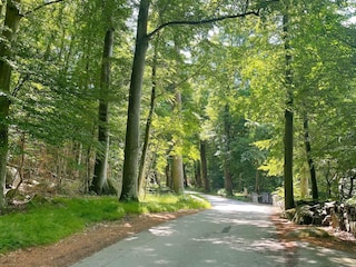 Holiday house Sölvesborg  14