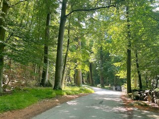 Vakantiehuis Sölvesborg  12