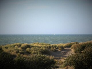Apartment Blankenberge Environment 30