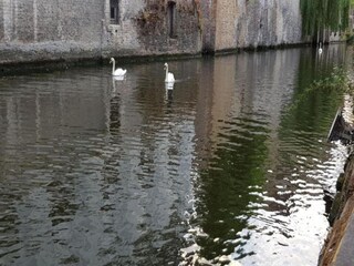 Appartamento Blankenberge Ambiente 33