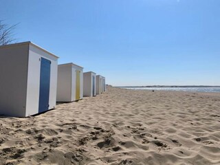 Appartement Blankenberge Environnement 21