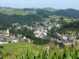 Vakantiehuis Waxweiler Omgeving 22