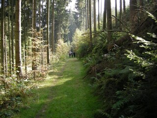 Vakantiehuis Waxweiler Omgeving 28