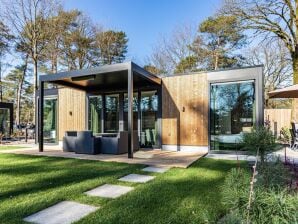 Chalet moderne avec douche solaire, dans un parc de vacances sur la belle Veluwe - Putt - image1