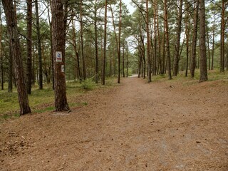 Appartement Niechorze Omgeving 5