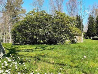 Maison de vacances Örkelljunga Enregistrement extérieur 3