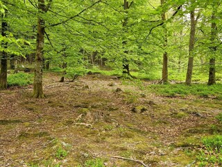 Ferienhaus Örkelljunga  18