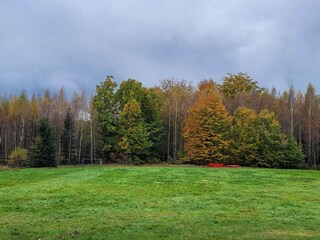 Ferienhaus Örkelljunga  27