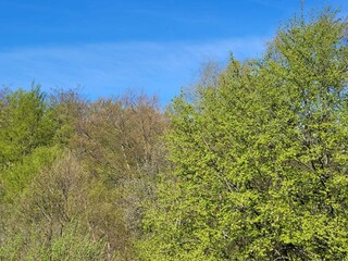 Ferienhaus Örkelljunga  19