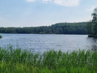 Casa de vacaciones Örkelljunga  25