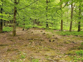 Casa de vacaciones Örkelljunga  35