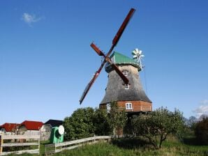 Maison de vacances Moulin à vent hollandais à Neubukow - Neuboukov - image1