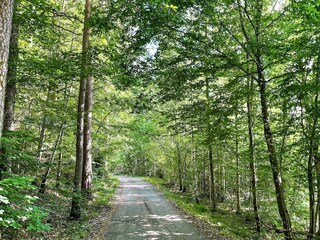 Ferienhaus Kyrkhult  18