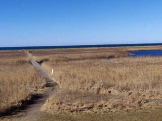 Ferienhaus Højby  26