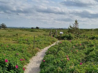 Vakantiehuis Højby  30