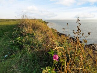 Ferienhaus Kegnæs  10