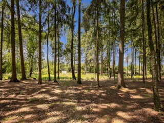 Bungalow Oud-Turnhout Umgebung 36