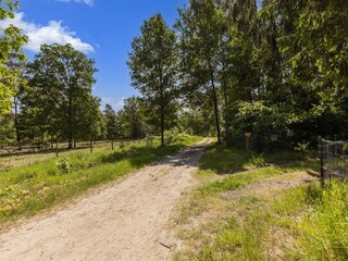 Bungalow Oud-Turnhout Omgeving 35