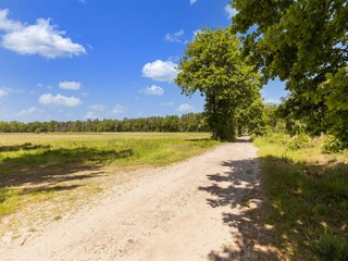 Bungalow Oud-Turnhout Environment 33