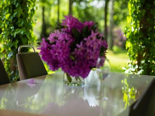 Bungalow Oud-Turnhout  39