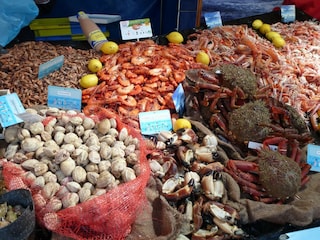 Ferienhaus Plougasnou Umgebung 28