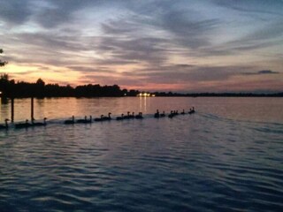 Vakantiepark Giethoorn Omgeving 21