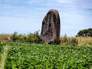 Vakantiehuis Vejbystrand  40