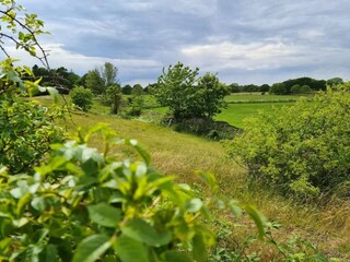 Vakantiehuis Vejbystrand  41