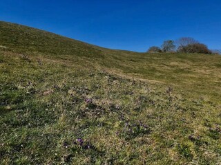 Vakantiehuis Vejbystrand  43