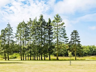 Ferienhaus Aakirkeby Außenaufnahme 11