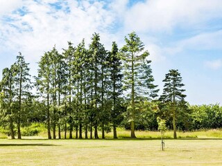 Vakantiehuis Aakirkeby Buitenaudio-opname 7