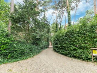 Vakantiehuis Lanaken Omgeving 35